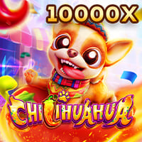 Chili Hua Hua